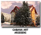 Cabana Art Bihor Rumunia